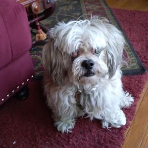 Meet your Posher, Nancy legrand